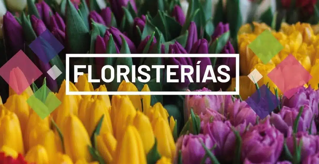 floristerias